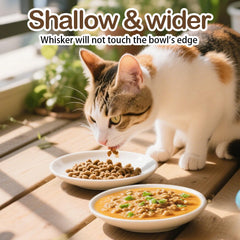 KITCHENLESTAR cat bowl set 6 dishwasher safe construction for easy cleanup