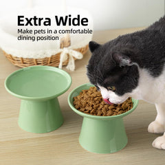 KITCHENLESTAR ceramic cat bowl green close-up shows durable non-porous ceramic