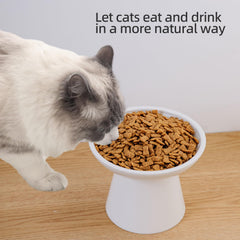 KITCHENLESTAR raised cat bowl demonstrates ergonomic height for comfortable eating.