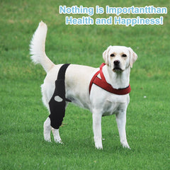 KitchMingle rear-leg brace provides light compression to stabilize muscles and speed recovery