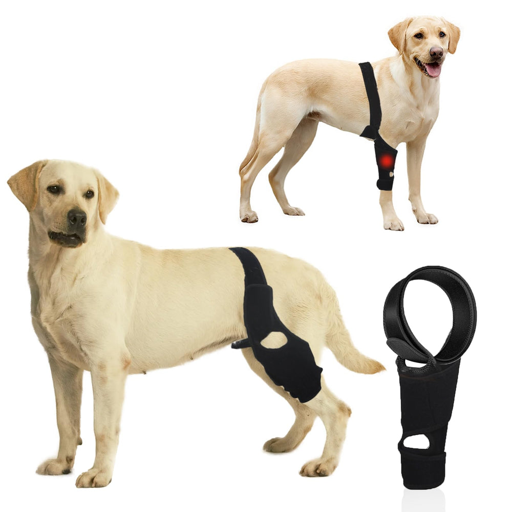 KitchMingle dog knee brace with side stabilizers for improved rear-leg support during activity