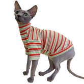 Kitipcoo turtle neck vintage stripes front view on hairless cat highlighting warmth and cotton comfort.