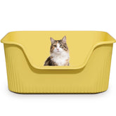 Kittenhood large cat litter box front view shows easy entry for cats