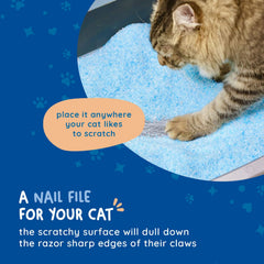 Kitty Cure aluminum-oxide-coated scratcher shows moisture resistance for hygienic litter boxes