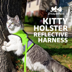 Kitty Holster reflective harness shown in daylight for high visibility during walks.