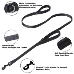 Kitys Fatch prong collar on a dog during a walk showing gentle guidance