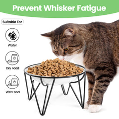 Kitwinney ceramic cat bowls dish-closeup; wide shallow bowls for whisker comfort.