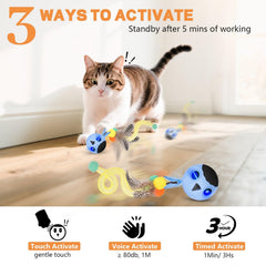 KiwiLove cat toy four modes interactive suits different play styles and schedules.