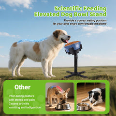 KMXASP height-adjustable stand offers three tilted heights for growing dogs.