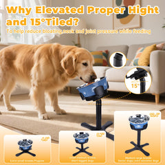KMXASP durable metal base with non-slip feet keeps bowls steady