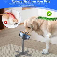KMXASP three-height raised stand adapts to growing dogs.