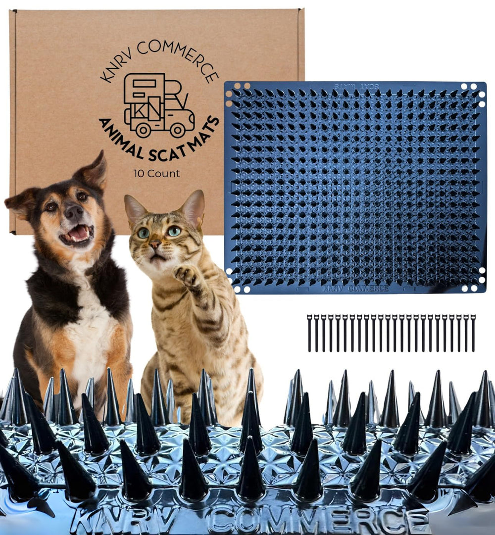 KNRV Commerce scat mats on a couch deter dogs from jumping up.