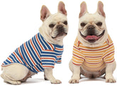 Knuffelen dog shirt striped blue yellow front view for everyday comfort outdoors