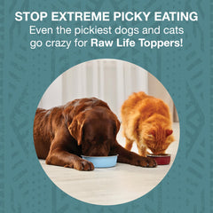 KOHA Raw Life Elk & Venison closeup shows 96% meat, bone, and organs for high-protein bites