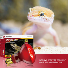 KOHEOPT reptile terrarium heat emitter in action for ambient warmth.