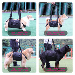 Kokoie dog carry sling during stairs use shows safe elevation and grip.