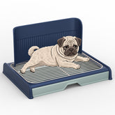 KOLA PANDA upgrade dog potty tray with high wall blue demonstrating containment for cleaner indoor spaces