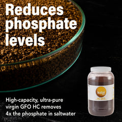Kolar Labs GFO HC reactor installation demonstrates efficient phosphate removal in reef systems