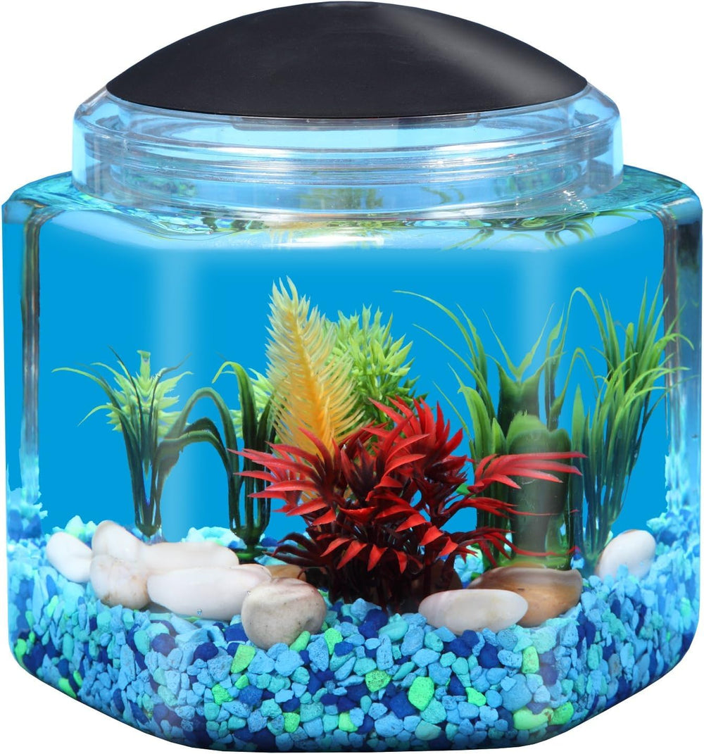 Koller Products 1 Gallon Hex Bettatank LED lighting with vibrant color options.