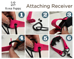 Kona Puppy bright Biothane strap highlights color and comfort for active dogs.