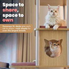 KONELCARE wide base 27-6x23-6 feet ensures stable footing for energetic cats.