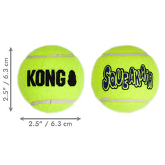 Dog fetching with KONG SqueakAir ball in action