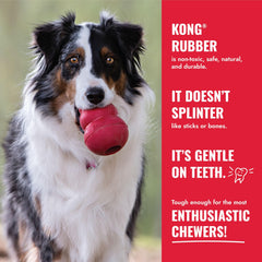 KONG Ball para entrenamiento y juego, talla adecuada para perros grandes