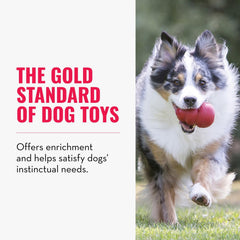 KONG Classic stuffing-capacity close-up shows fill options like kibble and peanut butter.