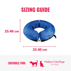 KONG Cloud Collar dog wearing model shows unobstructed vision and eating.