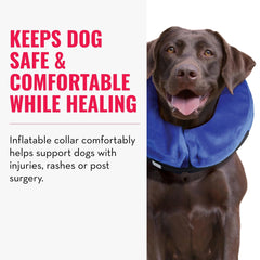 KONG Cloud Collar inflatable outer shell demonstrates gentle protection during recovery.