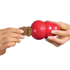 Dog enjoying stuffed KONG with Easy Treat for rewarding play.