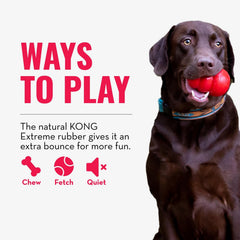 KONG Pelota Extrema con Hueco usada en interiores y exteriores