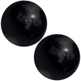 KONG Extreme Ball with Hole during backyard fetch for durable play