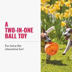 KONG Jumbler Ball interactive play showing engaging fetch with squeaker and tennis ball