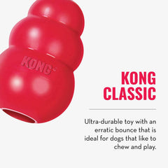 KONG Knots Bear squeaks to entice dogs into rewarding play sessions.
