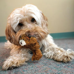 KONG Low Stuffing Squeaker dog toy Multi-Pack delivers trio of play options for curious pups.