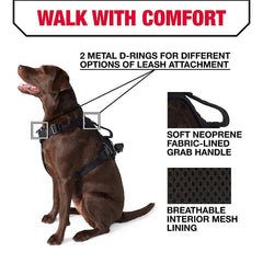 KONG harness back view highlighting reflective piping and D-ring for visibility