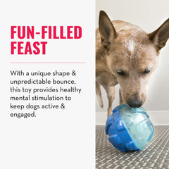 KONG Rewards Ball LG quiet-play design for long-lasting, calm sessions.