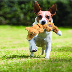 KONG Scrunch Knots Raccoon shows no stuffing, reducing mess during fetch and chew sessions