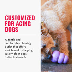KONG Senior toy stuffed with treats promotes interactive, longer play sessions.