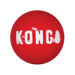 KONG Signature Balls in outdoor fetch action, highlighting high bounce for extended play.