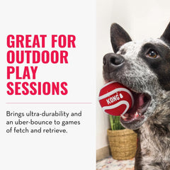 KONG Signature Sport Ball felt coating gentler on teeth during chases