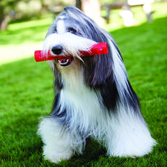 KONG Squeezz Stick four-color options Ruby Amethyst Emerald Sapphire improve visibility during play