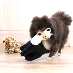KONG Toughz soft chew plush toy for indoor play sessions.