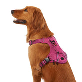 KONG Ultra Durable Waste Bag Harness front view for secure, comfortable walks.