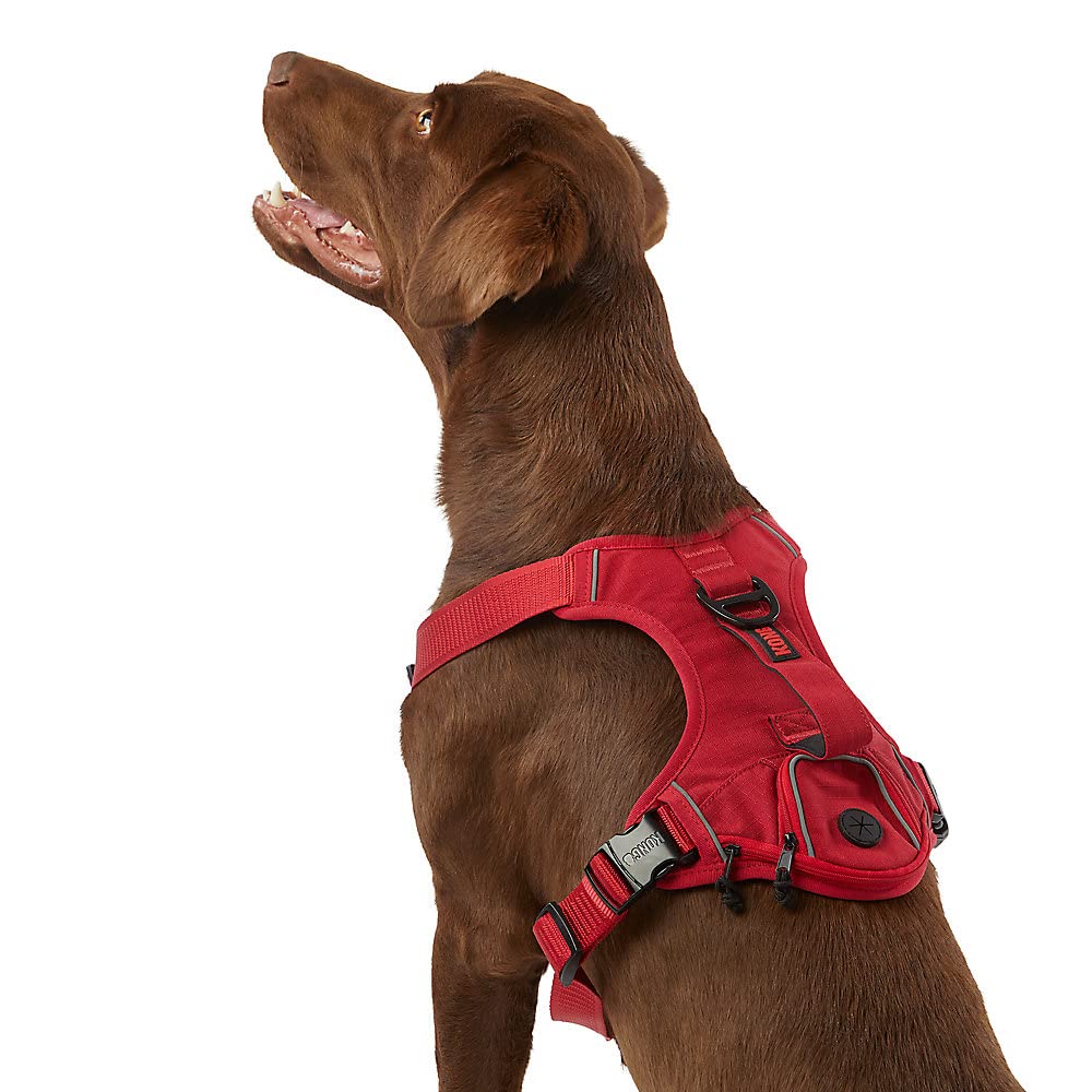 KONG Ultra Durable Waste Bag Harness collapsible-handle for confident control on active walks