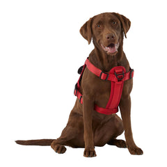 KONG Waste Bag Harness with reflective-piping for safer visibility during low light