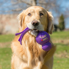 KONG Wubba tug-and-fetch-action encourages interactive games.