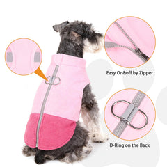 KOOLTAIL chaleco perro bloque-de-color, diseño moderno para destacar