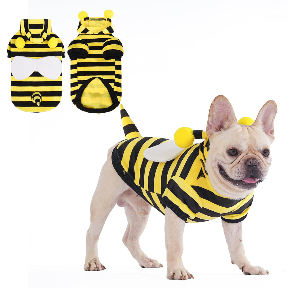 KOOLTAIL dog bee costume front view shows cute bee look for Halloween